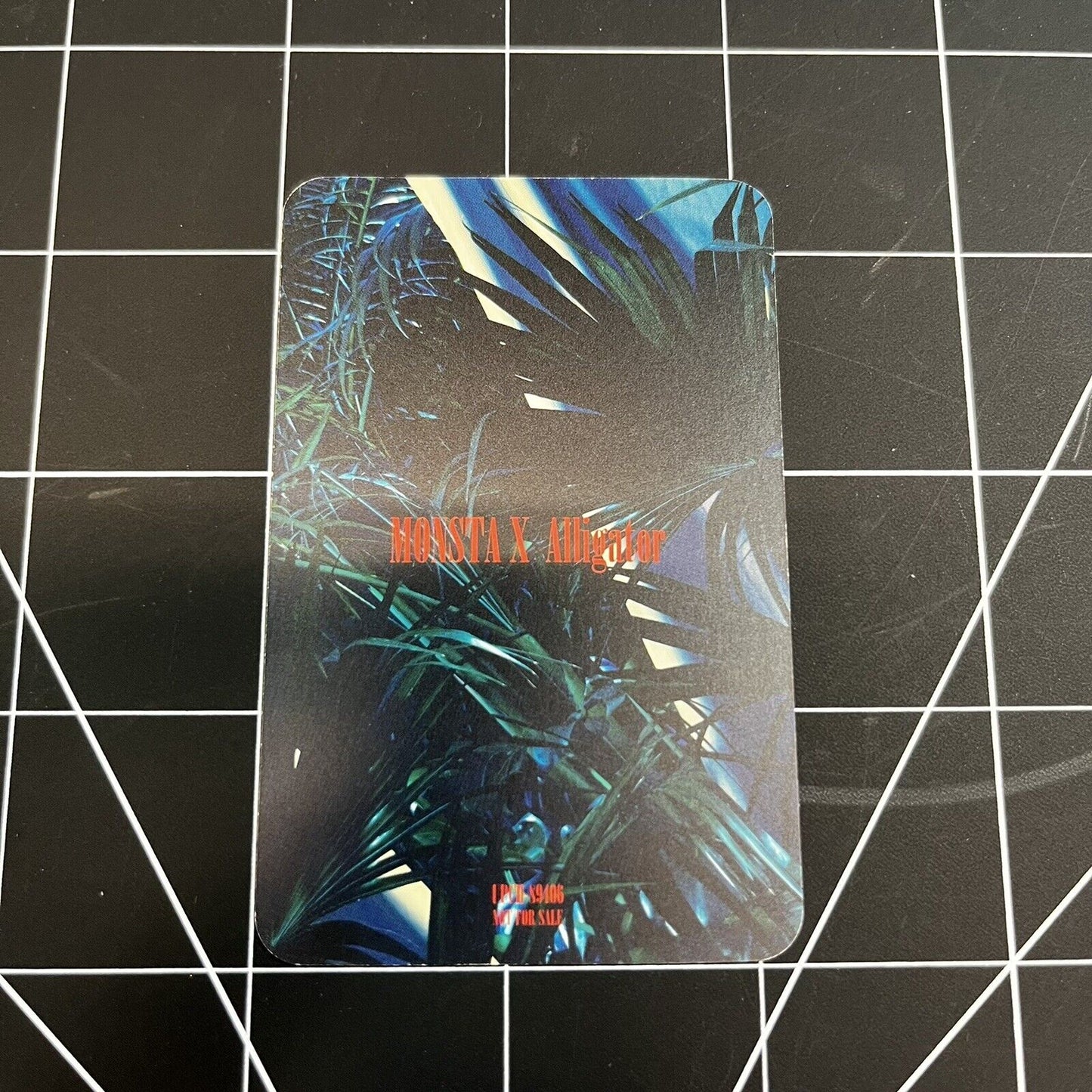 MONSTA X The 6th Japan Single Alligator - Joohoney Photocard