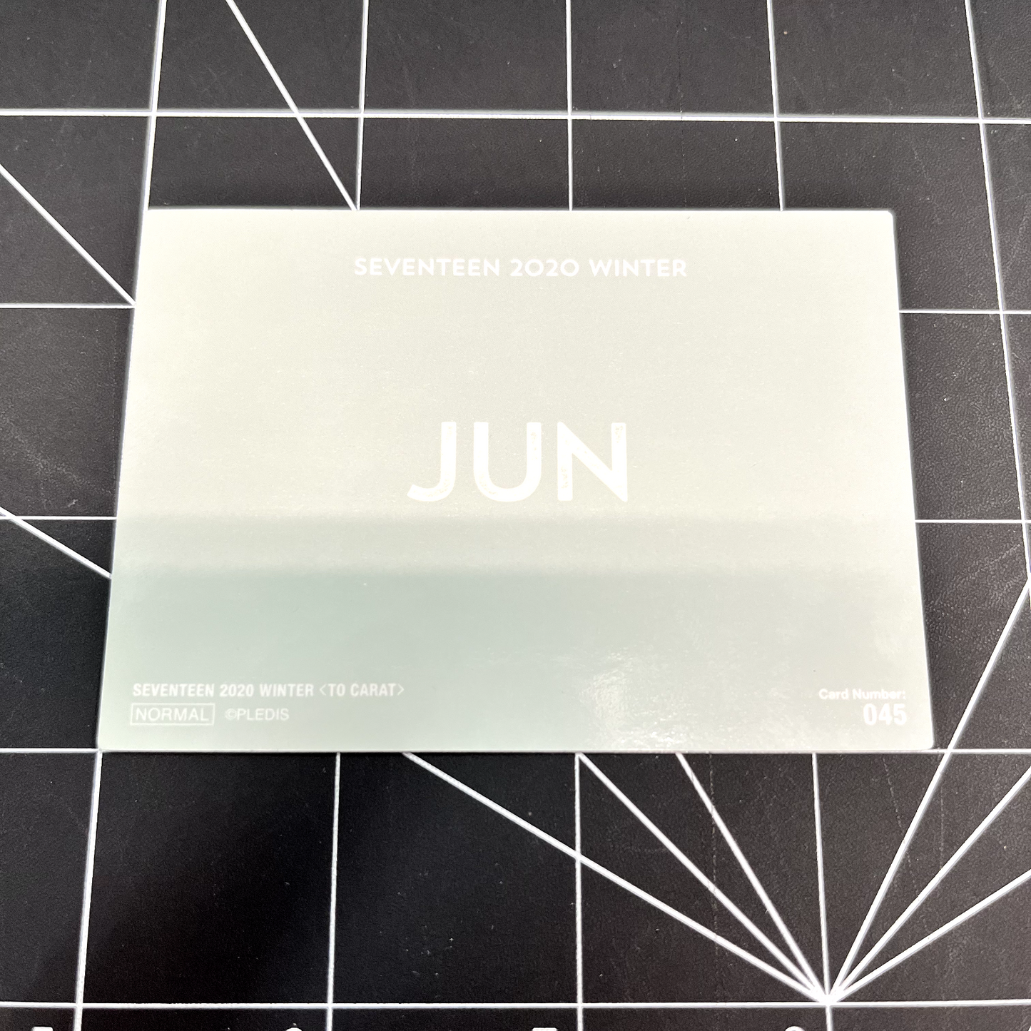 SEVENTEEN 2020 WINTER TO CARAT (Normal) - Jun Photocard (No. 045)