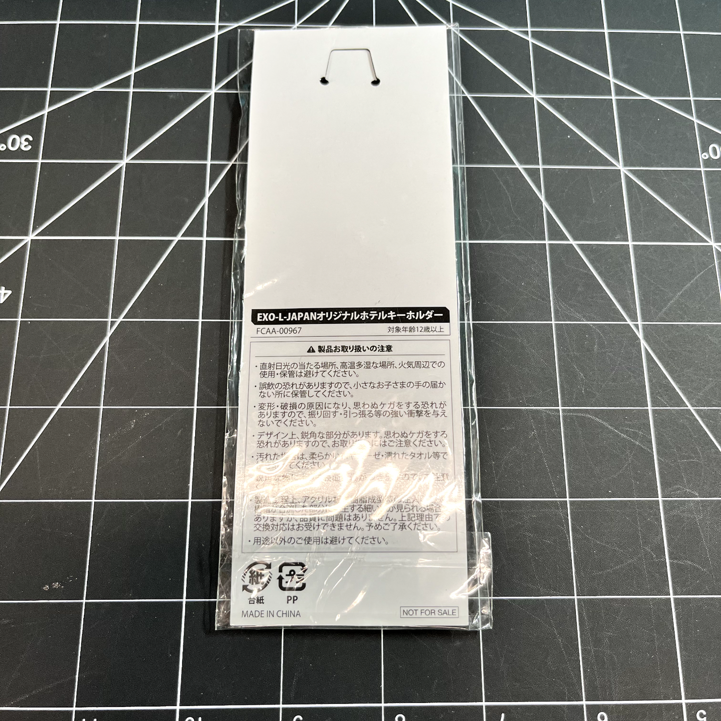 EXO Japan EXO-L Fanclub We Are One Official Merchandise - Acrylic Keychain