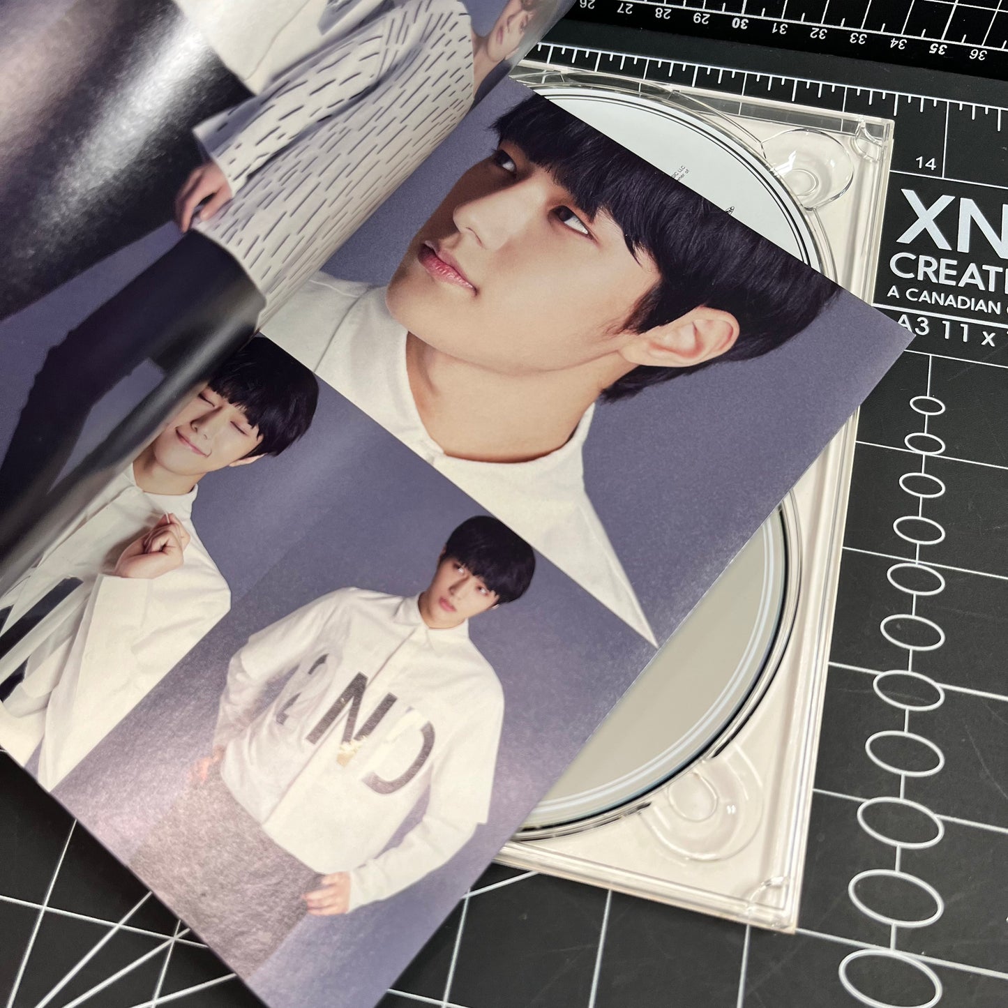 INFINITE F The 1st Japan Single Album Koi No Sign (Type A)
