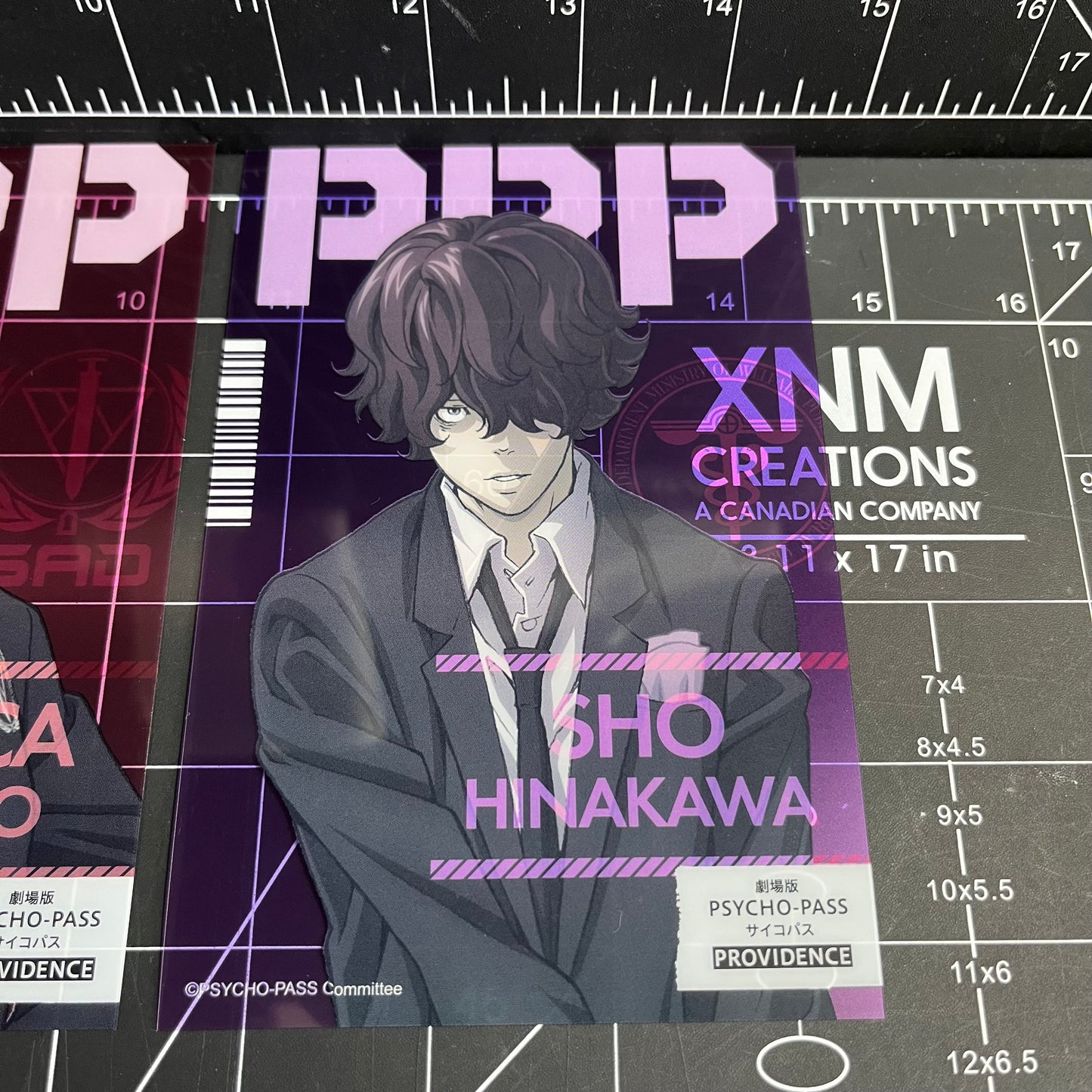 PSYCHO-PASS Providence Clear Card Japan Merchandise