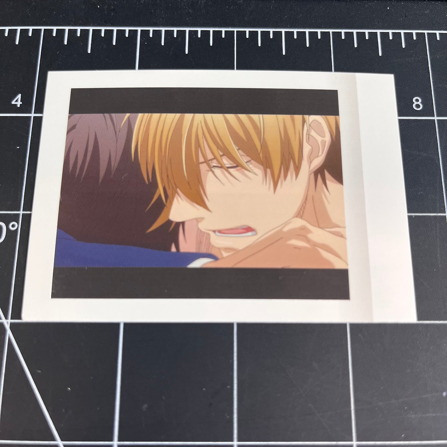Dakaretai Otoko 1-i ni Odosarete Imasu Japan Polaroid Trading Card