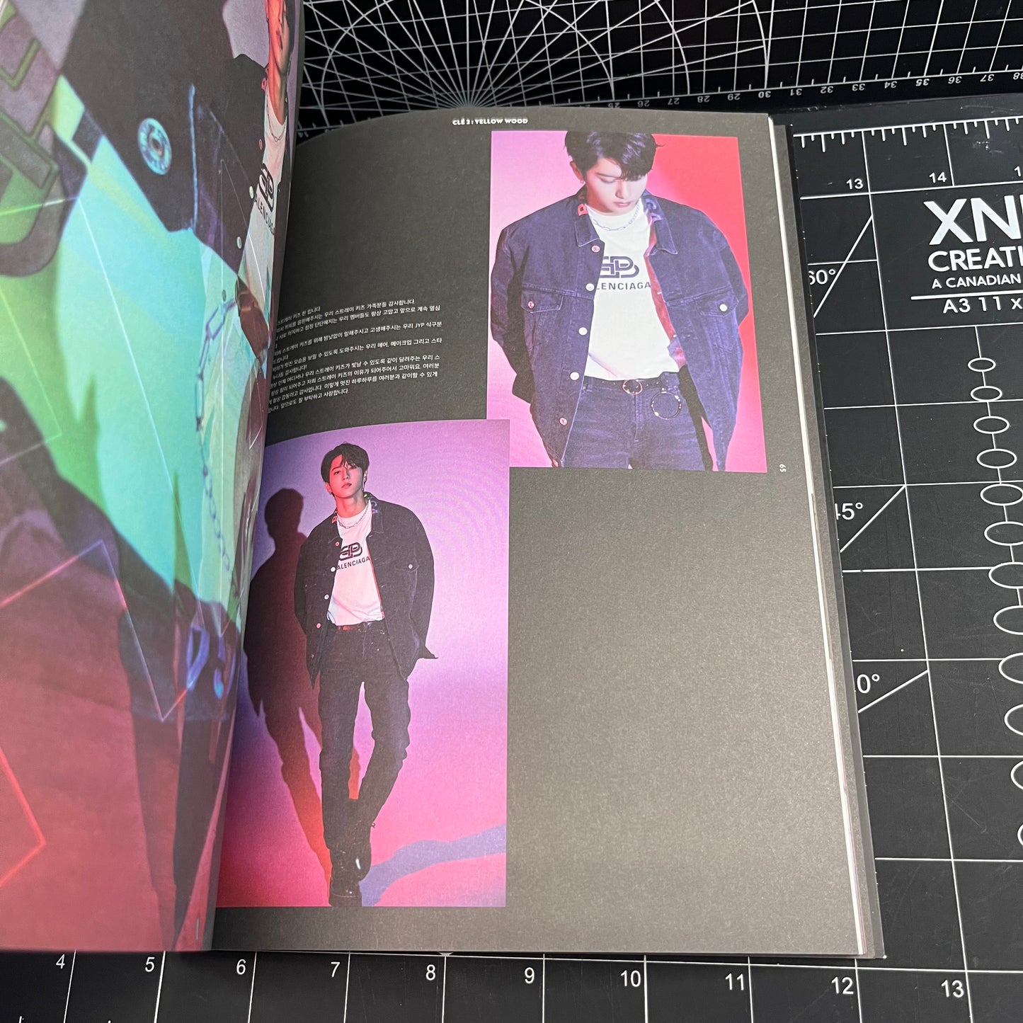 Stray Kids Special Album CLÉ : YELLOW WOOD (CLÉ 2) - Woojin Poster