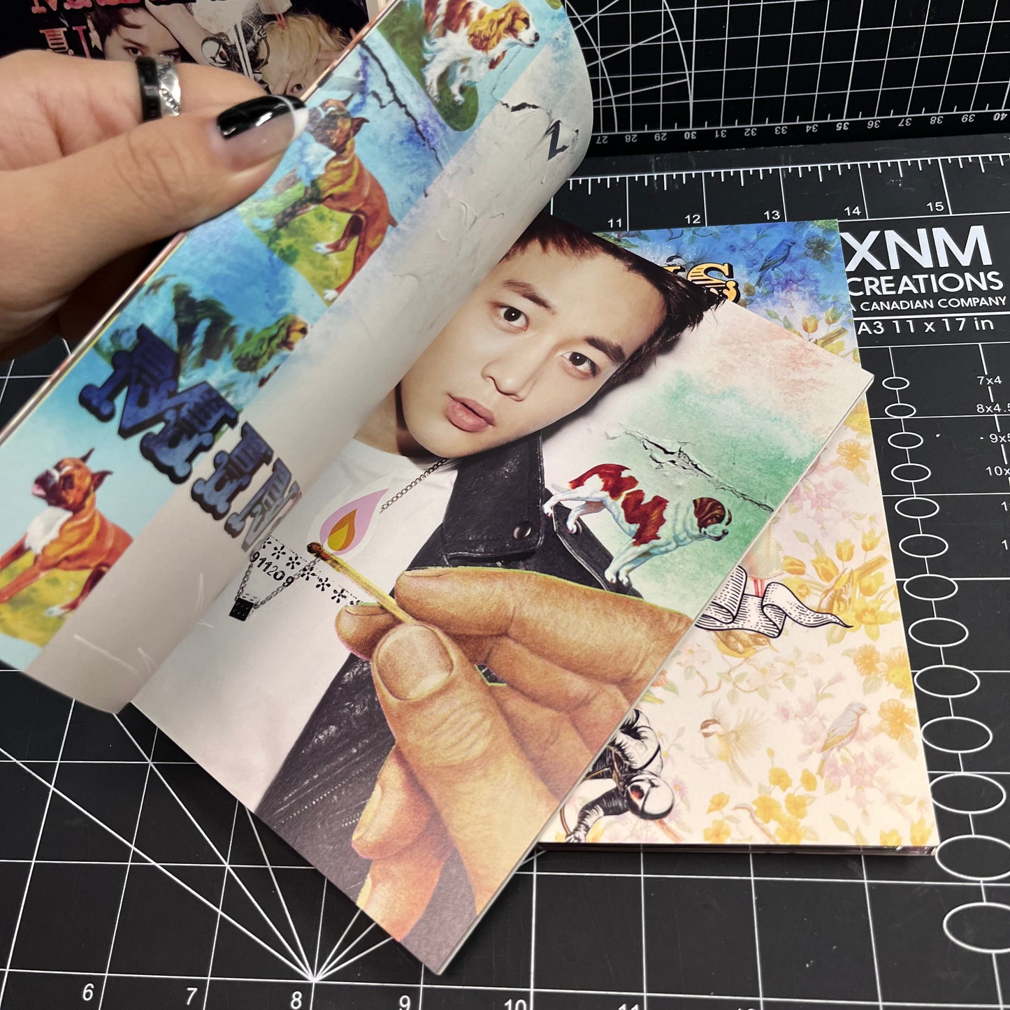 SHINee Boys Meet U Japan First Limited Edition Album - No Photocard