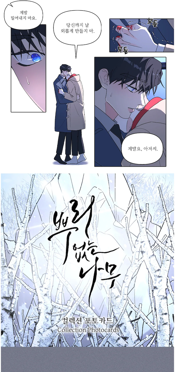 Lezhin A Tree Without Roots Collection Photo Cards (Paris Pick-Up Order)