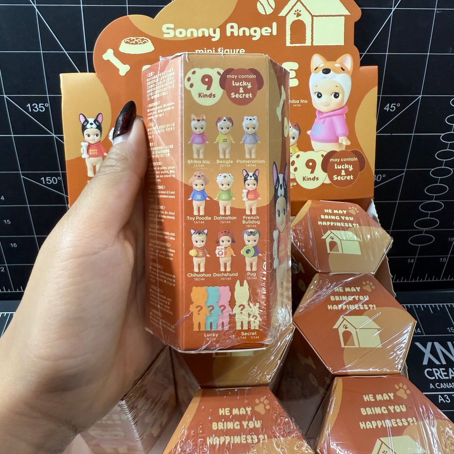 Sonny Angels Dog Time Series (Japan Limited Edition)