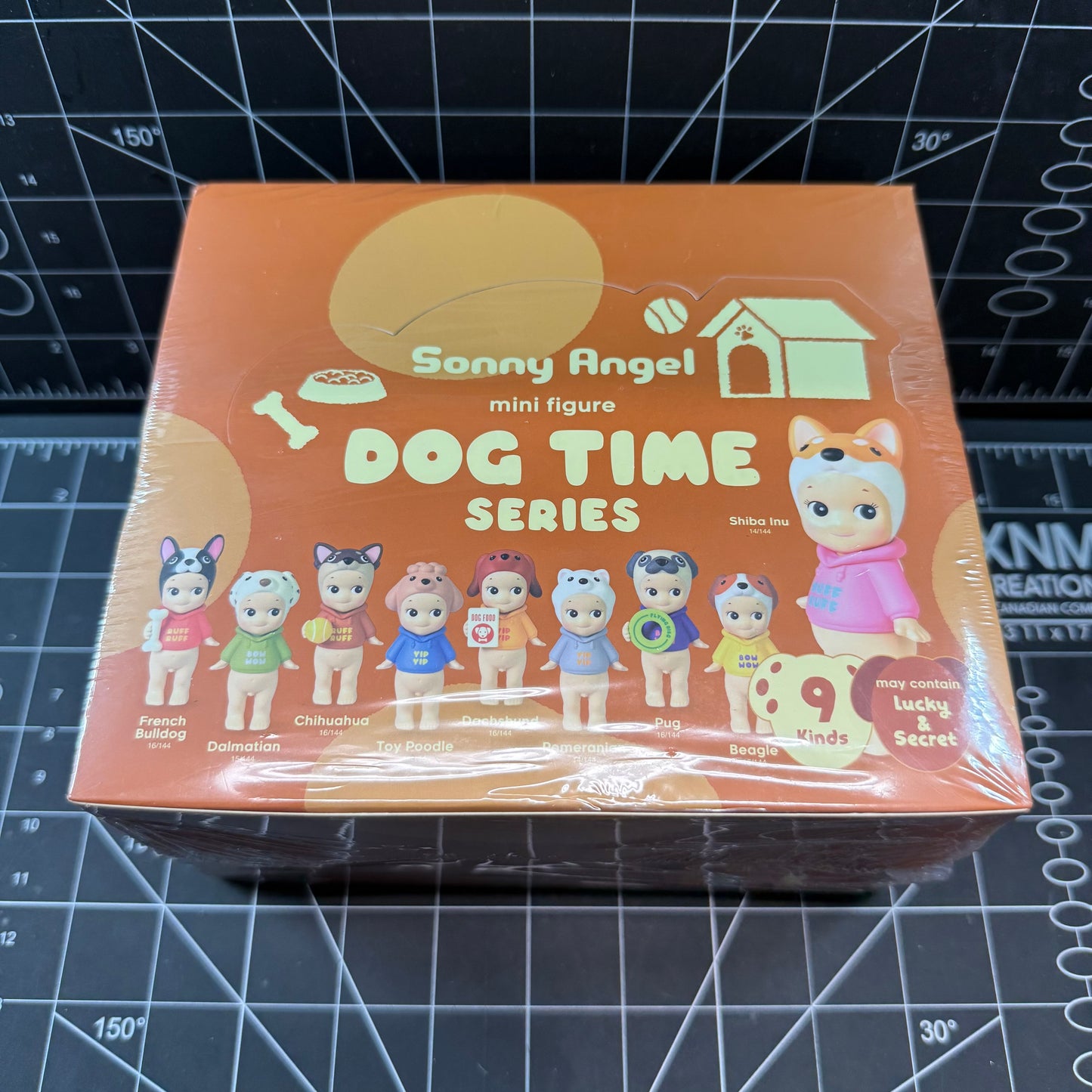 Sonny Angels Dog Time Series (Japan Limited Edition)