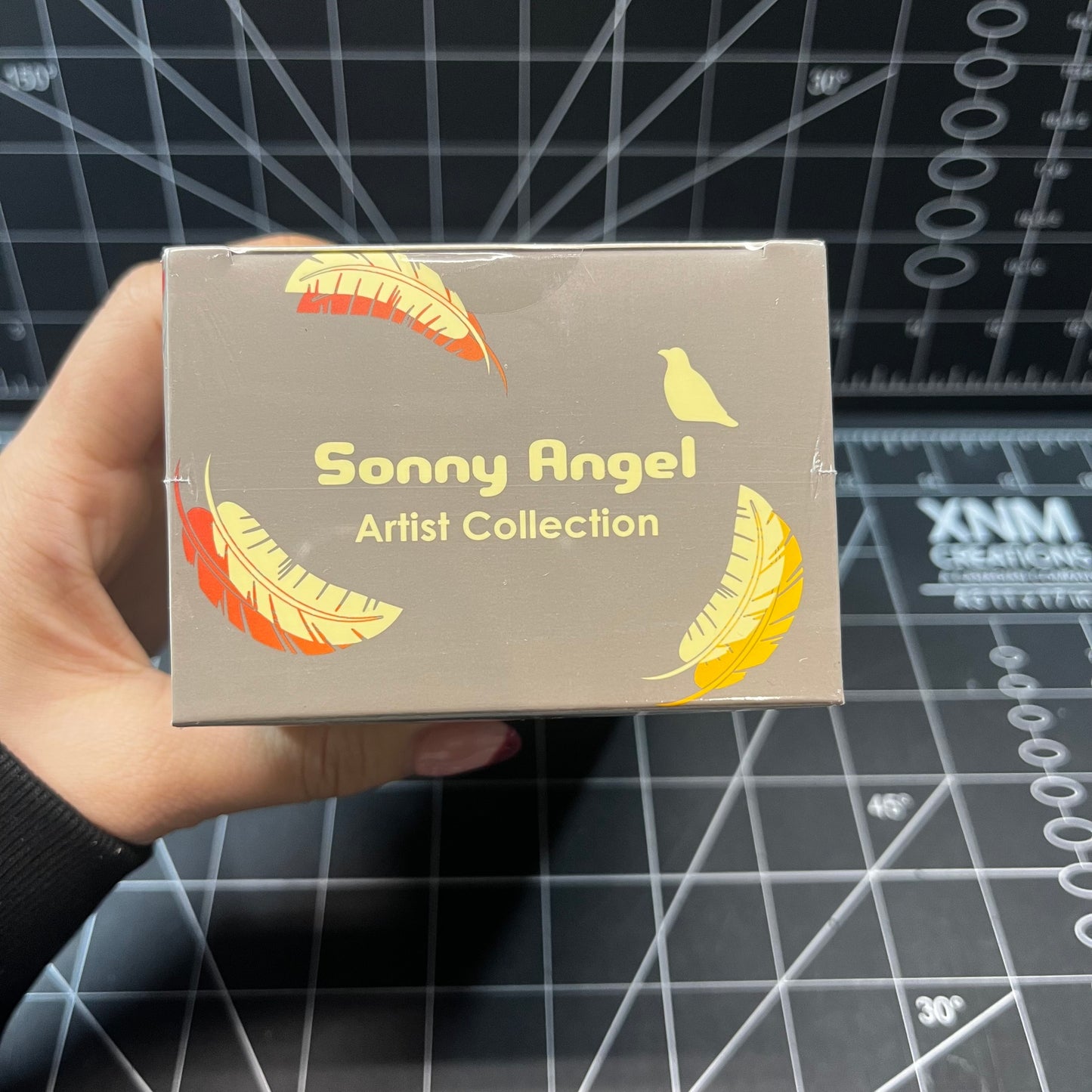 Sonny Angel Collaboration with Kangyong Cai (Brave as Me)