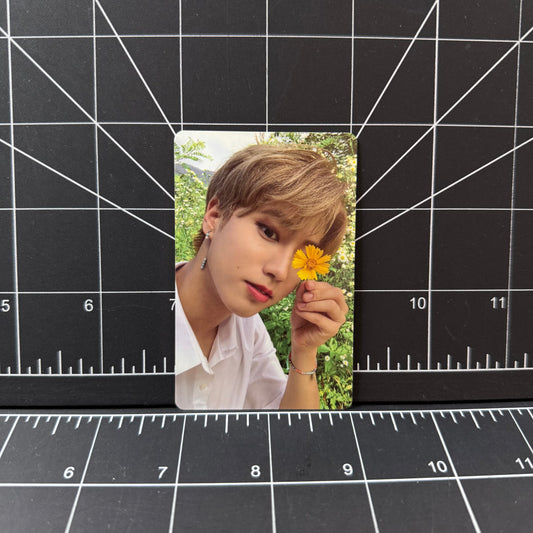 Stray Kids Noeasy Album POB - Han Photocard