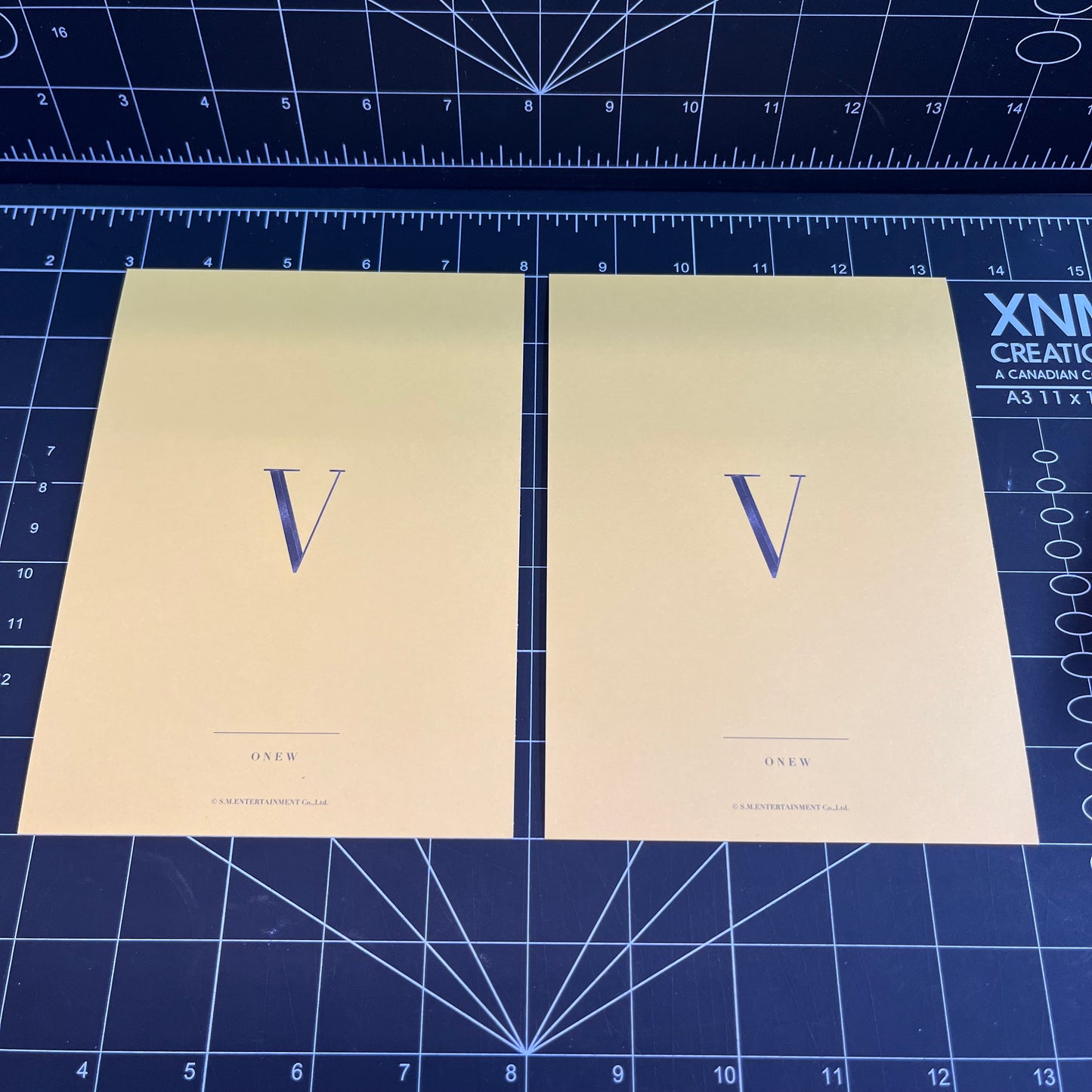 SHINee WORLD V Official Concert Merchandise Limited Edition Onew Postcard