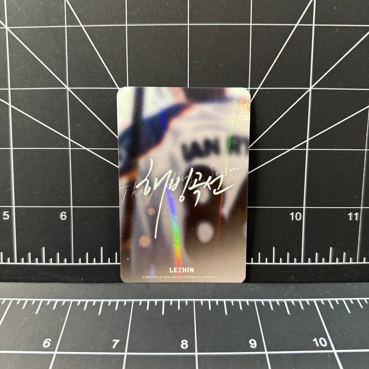 Lezhin Official Melting Point Photocard