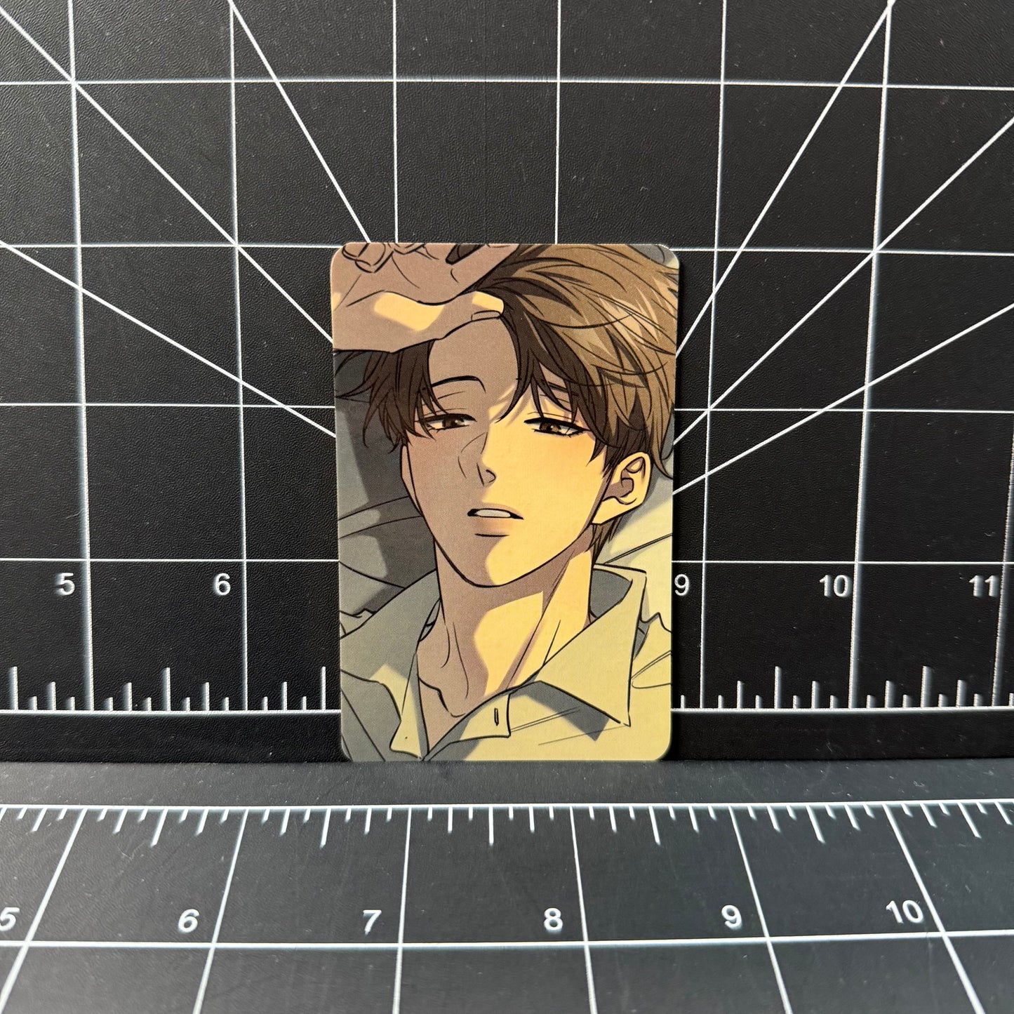 Lezhin Official Melting Point Photocard